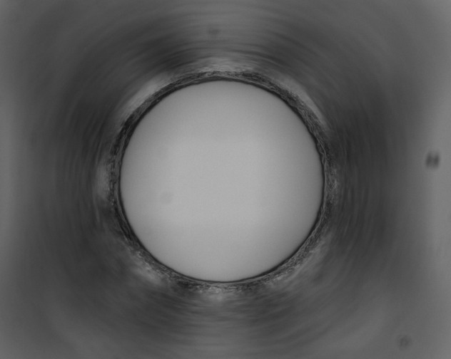 X0000100780874200807171440