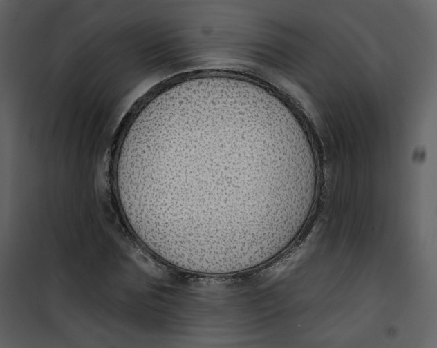 X0000100780875200807171440