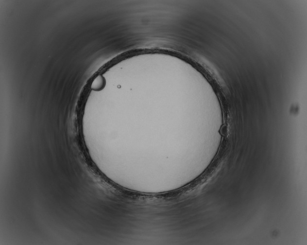 X0000100780876200807171440