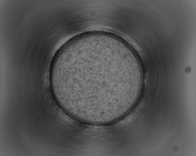 X0000100780877200807171440