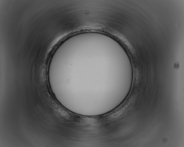 X0000100780878200807171440