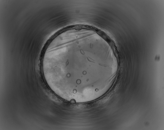 X0000100780879200807171440