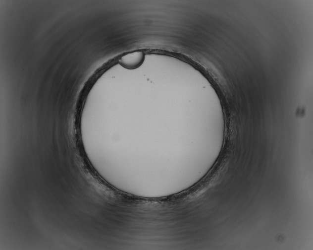 X0000100780880200807171440