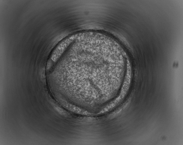 X0000100780881200807171440