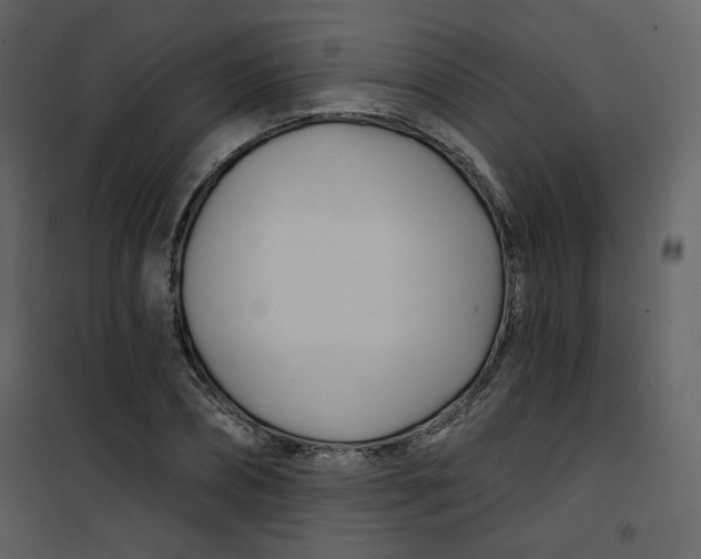 X0000100780882200807171440