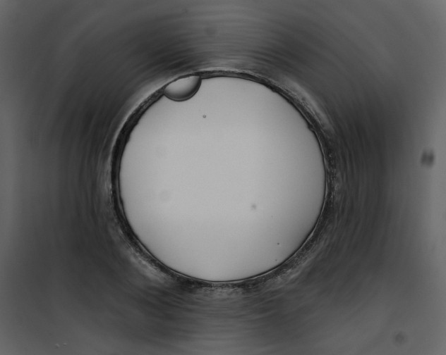 X0000100780884200807171440