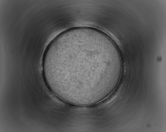 X0000100780885200807171440