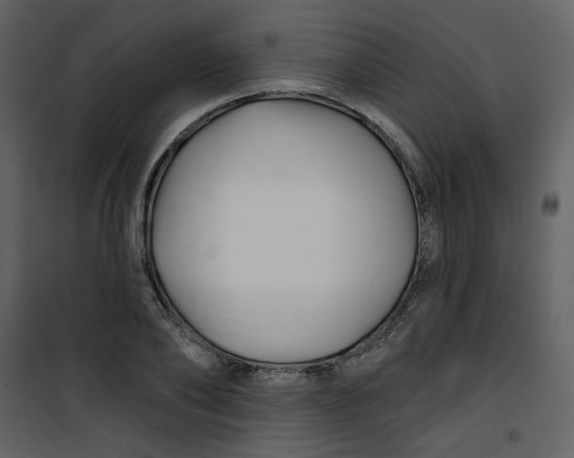 X0000100780886200807171440