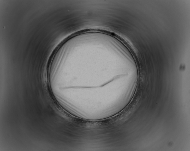 X0000100780887200807171440