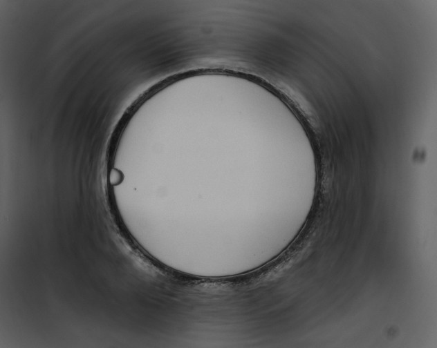 X0000100780888200807171440