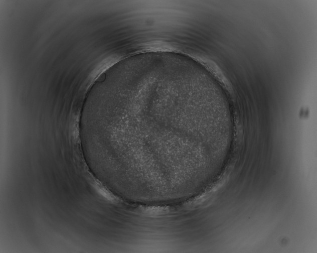 X0000100780889200807171440