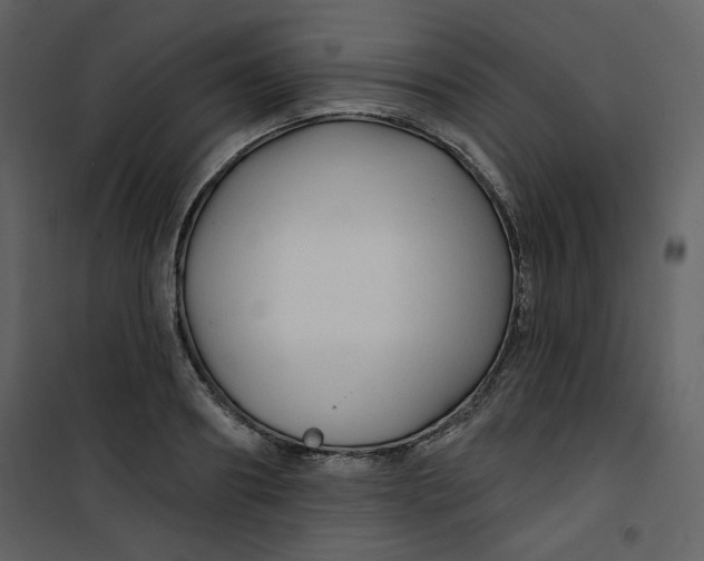 X0000100780890200807171440