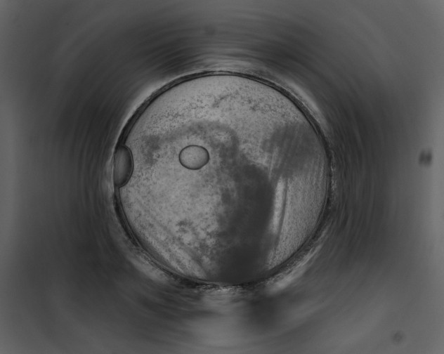 X0000100780891200807171440