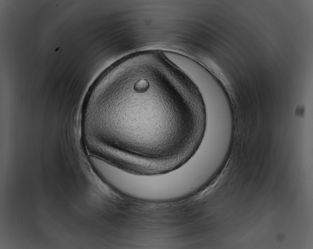 X0000100780892200807171439