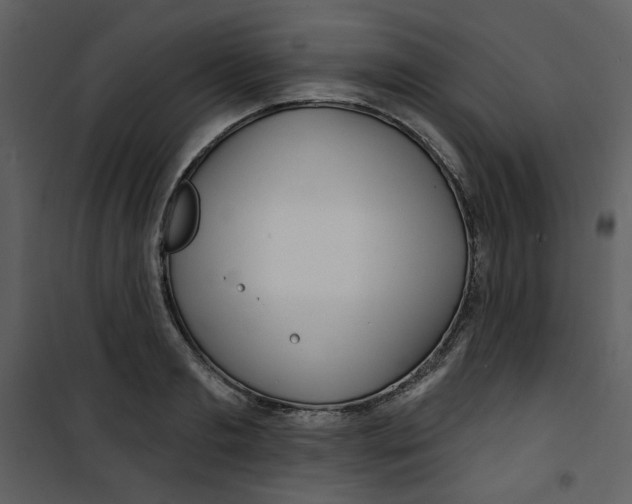X0000100780893200807171439