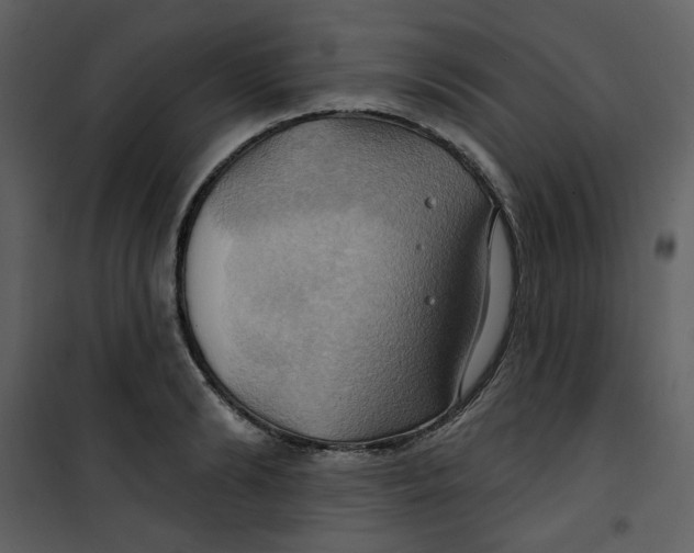 X0000100780894200807171439