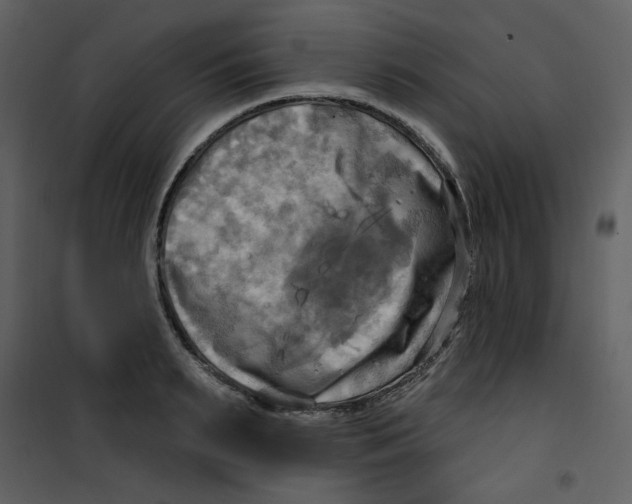 X0000100780895200807171439