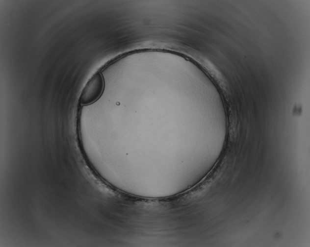 X0000100780896200807171439
