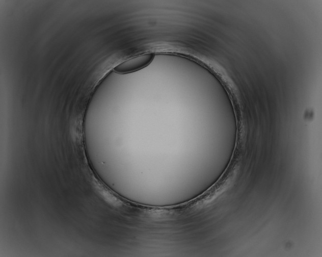 X0000100780897200807171439