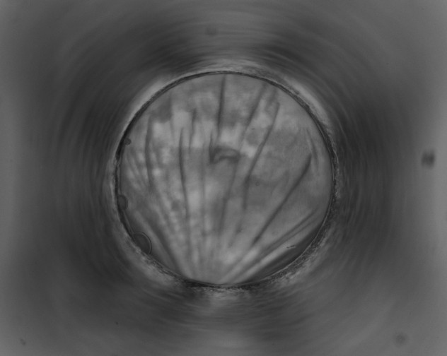 X0000100780899200807171439