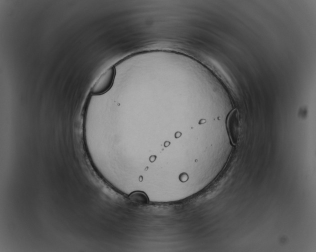 X0000100780900200807171439