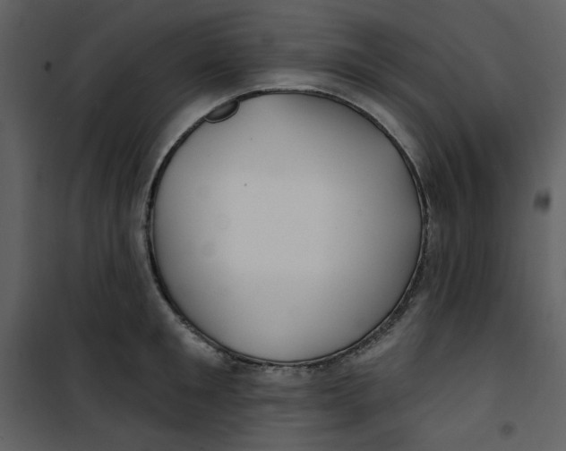X0000100780901200807171439