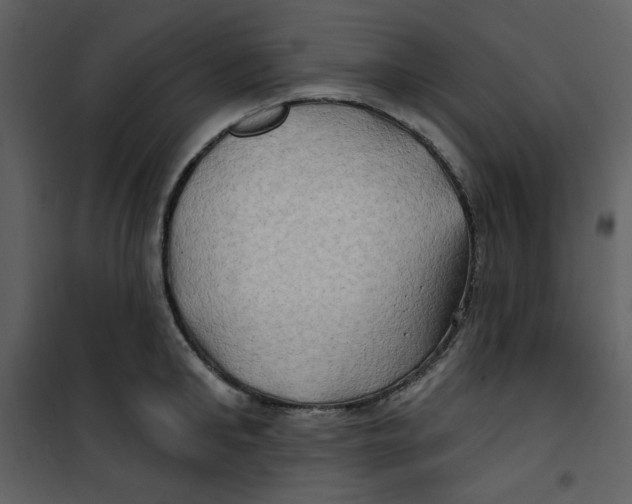 X0000100780902200807171439