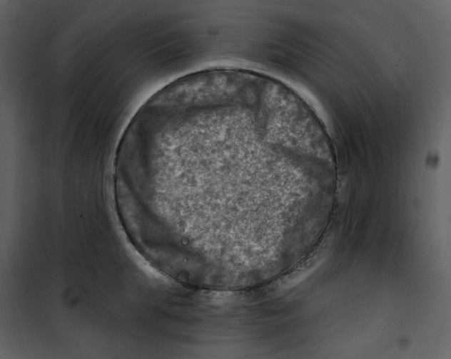 X0000100780903200807171439
