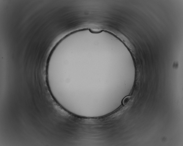 X0000100780904200807171439