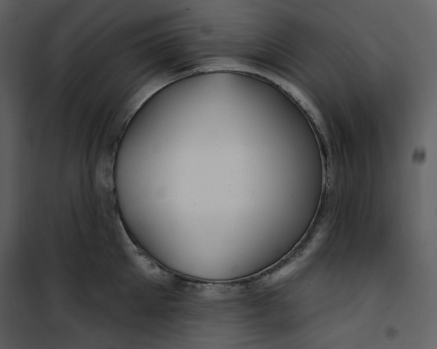 X0000100780905200807171439