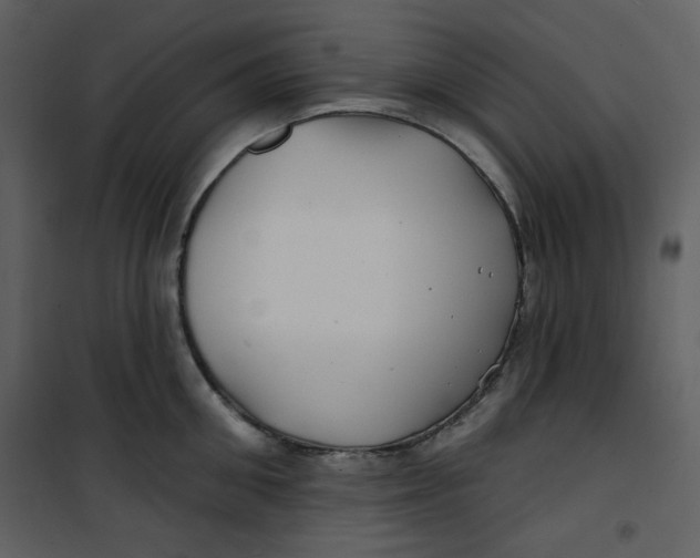 X0000100780906200807171439