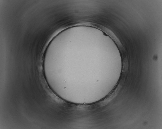 X0000100780908200807171439