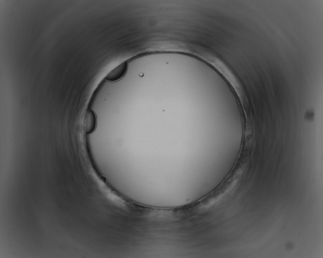 X0000100780909200807171439