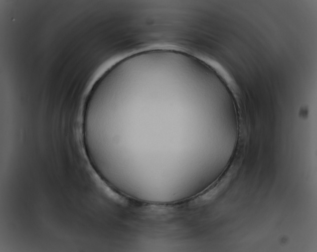 X0000100780910200807171439