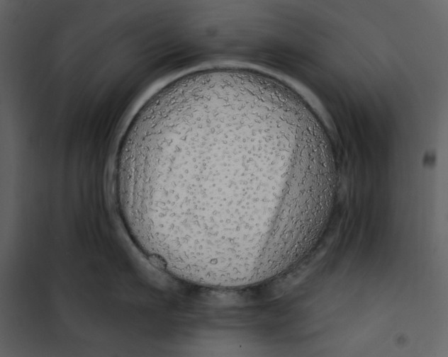 X0000100780911200807171439