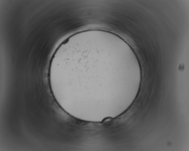 X0000100780912200807171439