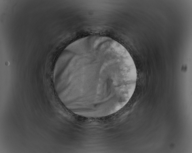 X0000100780913200807171438