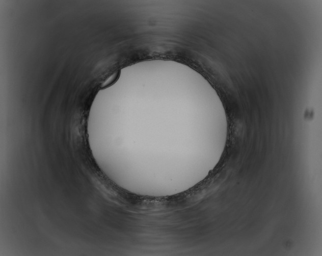 X0000100780914200807171438