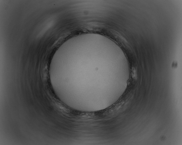 X0000100780915200807171438