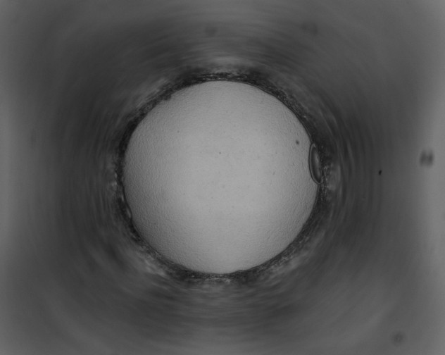 X0000100780916200807171438