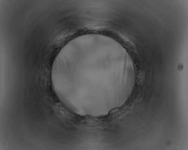 X0000100780917200807171438