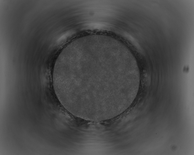 X0000100780918200807171438
