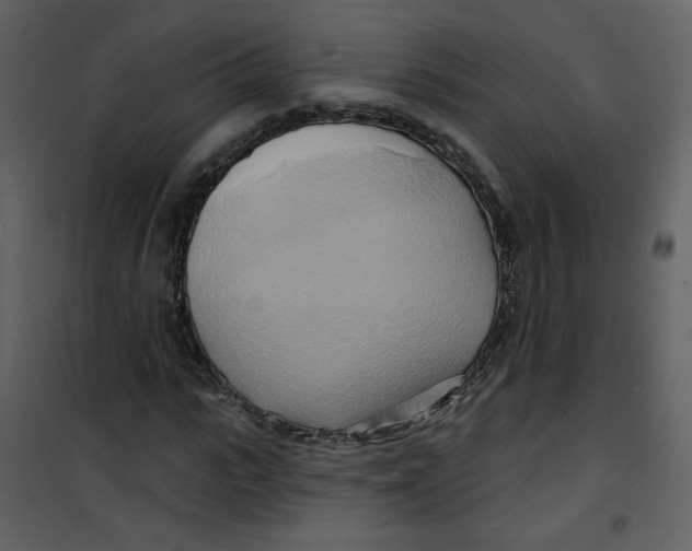 X0000100780919200807171438