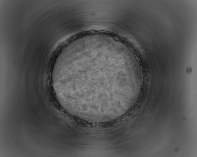 X0000100780920200807171438