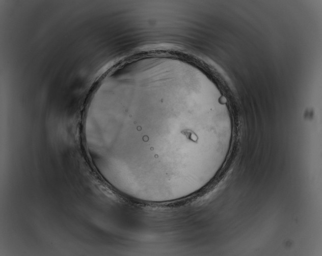 X0000100780921200807171438