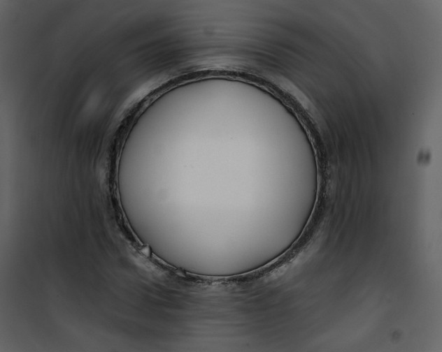 X0000100780922200807171438