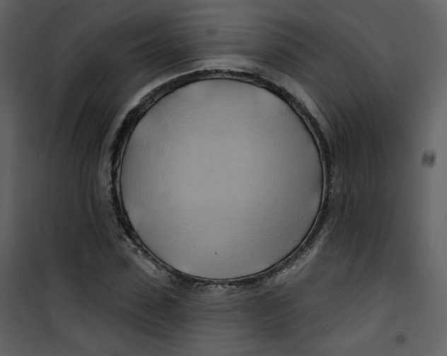 X0000100780923200807171438