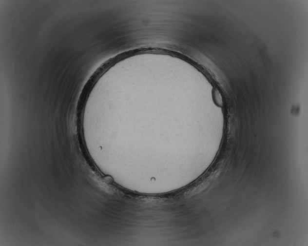 X0000100780924200807171439