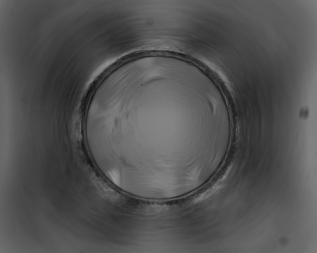 X0000100780925200807171439