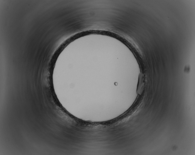 X0000100780926200807171439